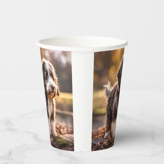 Süßer Aussiedoodle Welpe Papieren Bekers (Rechts)