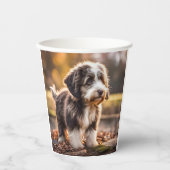 Süßer Aussiedoodle Welpe Papieren Bekers (Voorkant)