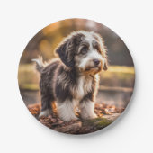 Süßer Aussiedoodle Welpe Papieren Bordje (Voorkant)
