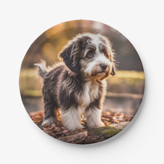 Süßer Aussiedoodle Welpe Papieren Bordje (Voorkant)