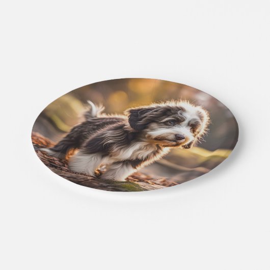 Süßer Aussiedoodle Welpe Papieren Bordje (Gekanteld)