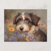 Süßes Aussiedoodle Portrait Briefkaart (Voorkant)