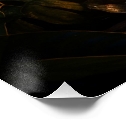 Süßes Leopardenkind Perfect Poster (Hoek)