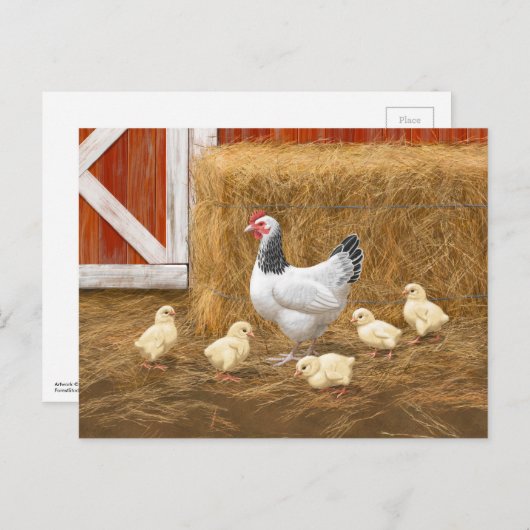 Sussex Chicken Mama Hen en Chicken Chicken Briefkaart (Voorkant / Achterkant)