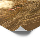 Sussex Chicken Mama Hen en Chicken Chicken Poster (Hoek)