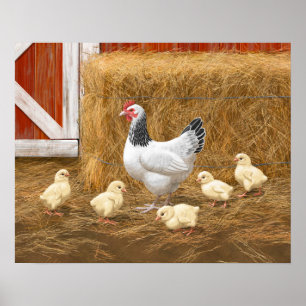 Sussex Chicken Mama Hen en Chicken Chicken Poster