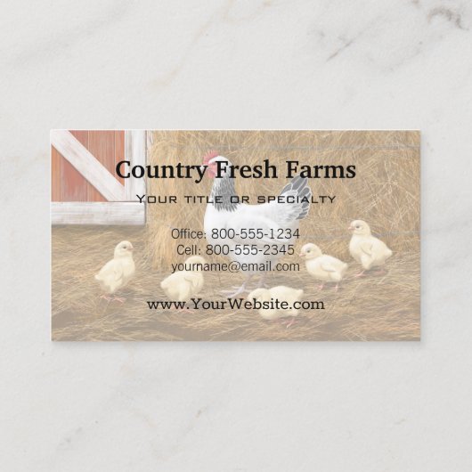 Sussex Chicken Mama Hen en Chicken Chicken Visitekaartje (Achterkant)