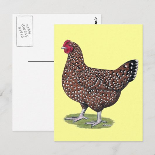 Sussex: Gespikkelde hoen Briefkaart (Voorkant / Achterkant)