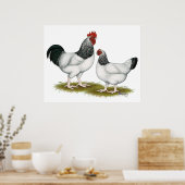 Sussex: Lichte lucht Poster (Keuken)