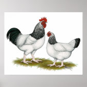 Sussex: Lichte lucht Poster (Voorkant)