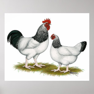 Sussex: Lichte lucht Poster