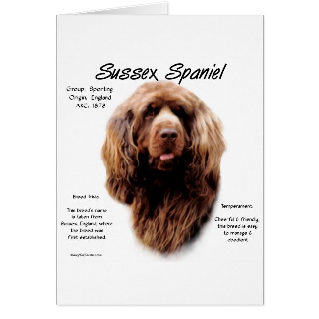 Sussex Spaniel Geschiedenis Ontwerp (Voorkant)