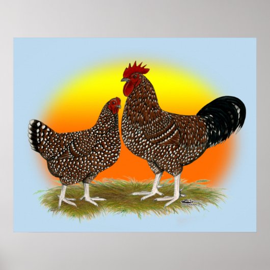 Sussex Sunrise Poster (Voorkant)