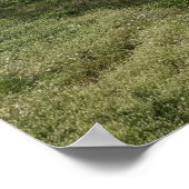 Sutro Baths Poster (Hoek)