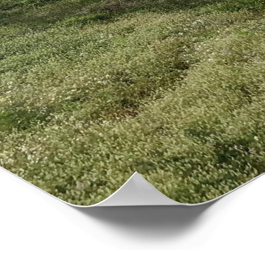 Sutro Baths Poster (Hoek)