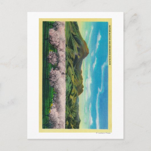 Sutter Buttes and Orchards in Bloom Briefkaart (Voorkant)