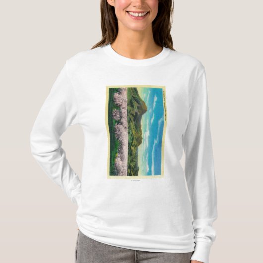 Sutter Buttes and Orchards in Bloom T-shirt (Voorkant)