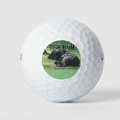 Sutter Buttes Mountain Range de Bull foto Golf. Golfballen (Voorkant)