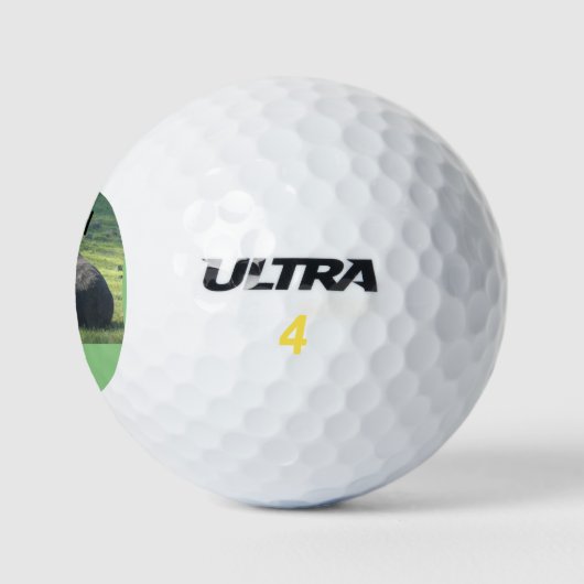 Sutter Buttes Mountain Range de Bull foto, Golf. Golfballen (Logo)