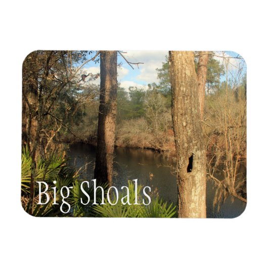 Suwanee-rivier, Big Shoals State Park, Florida Magneet (Horizontaal)