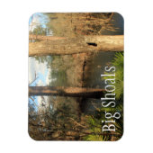 Suwanee-rivier, Big Shoals State Park, Florida Magneet (Verticaal)