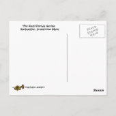 Suwannee River Backwater Briefkaart (Achterkant)