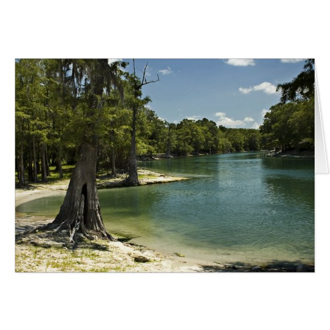 Suwannee River Beach Blank Card (Voorkant Horizontaal)