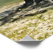 Suwannee River Beach Print (Hoek)