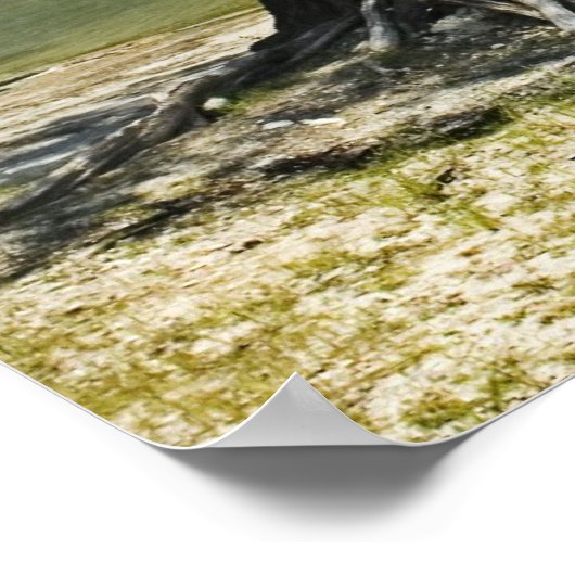 Suwannee River Beach Print (Hoek)