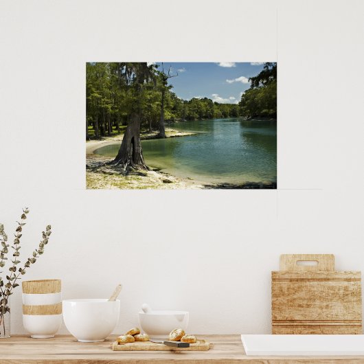 Suwannee River Beach Print (Keuken)