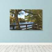 Suwannee River bij Hart Springs Canvas Afdruk (Insitu (Houten vloer))