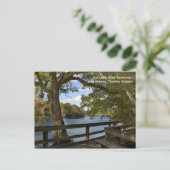 Suwannee River Boardwalk Briefkaart (Staand voorkant)