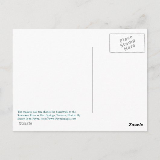 Suwannee River Boardwalk Briefkaart (Achterkant)