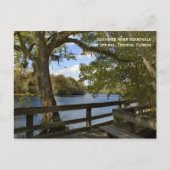 Suwannee River Boardwalk Briefkaart (Voorkant)