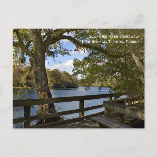 Suwannee River Boardwalk Briefkaart (Voorkant)