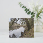 Suwannee River Briefkaart (Staand voorkant)