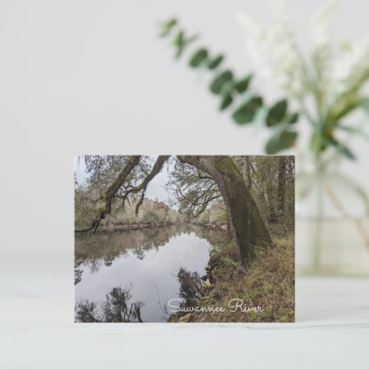 Suwannee River Briefkaart (Staand voorkant)