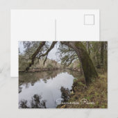 Suwannee River Briefkaart (Voorkant / Achterkant)