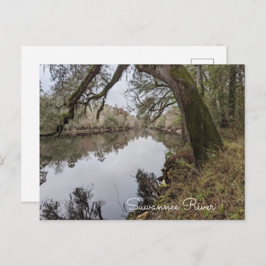 Suwannee River Briefkaart (Voorkant / Achterkant)