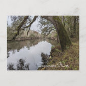 Suwannee River Briefkaart (Voorkant)