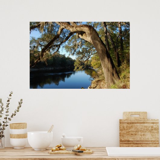 Suwannee River Poster (Keuken)