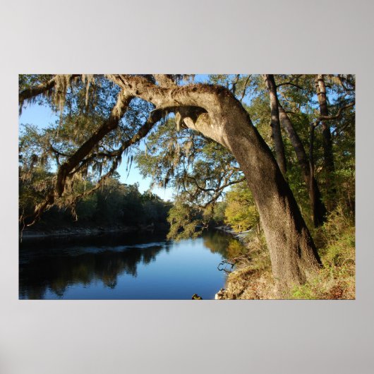 Suwannee River Poster (Voorkant)