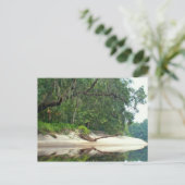 Suwannee River-sbar Briefkaart (Staand voorkant)