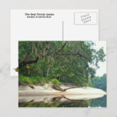 Suwannee River-sbar Briefkaart (Voorkant / Achterkant)