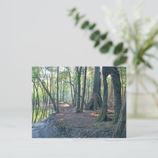 Suwannee River slough Briefkaart (Staand voorkant)