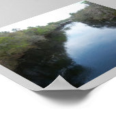Suwannee River Uitzicht Florida Poster (Hoek)