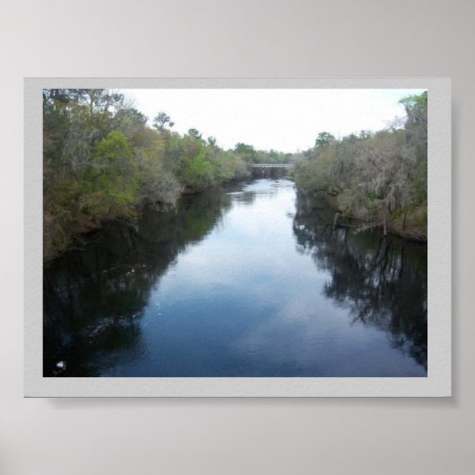 Suwannee River Uitzicht Florida Poster (Voorkant)