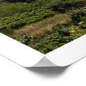 Suzette, Frankrijk Poster (Hoek)