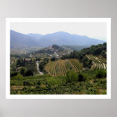 Suzette, Frankrijk Poster (Voorkant)