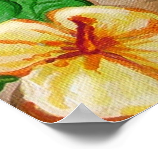 Suzette Loves de eilanden Poster (Hoek)